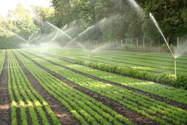 Riego agrícola, Eines Menorca